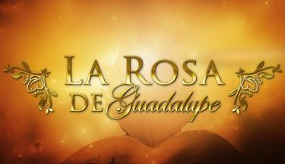 File:La rosa de Guadalupe.jpg