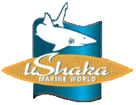 uShaka Marine World things to do in Durban