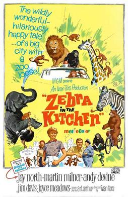 File:Zebra in the Kitchen poster.jpg