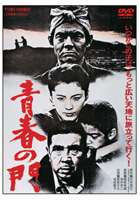 The Gate of Youth 1981 DVD cover.jpg
