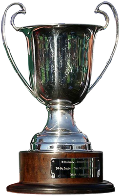 File:Admiral brown cup trophy.png