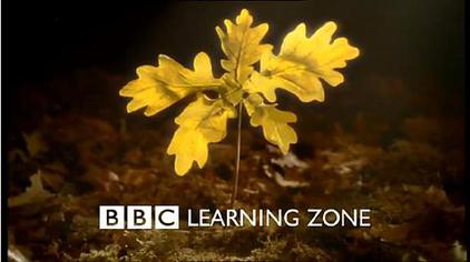 File:BBC Learning Zone.jpg