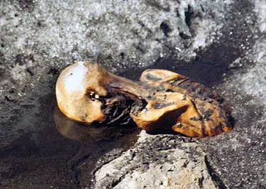 Ötzi the Iceman half uncovered, face down in a pool of water with iced banks