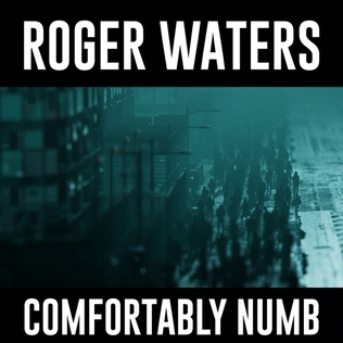 File:Comfortably Numb 2022 Roger Waters.jpeg