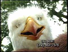 Eagle Insurance