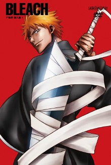 Bleach DVD season 2 volume 1.jpg