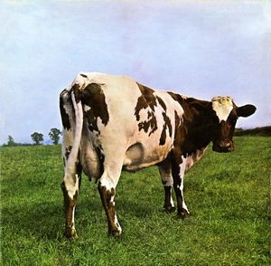 Pink Floyd Atom Heart Mother