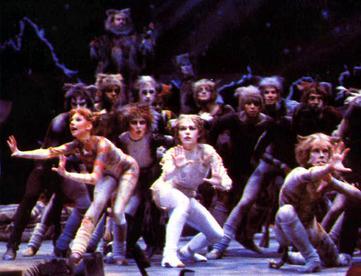 Cats Musical Dvd