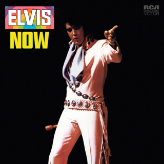 Elvis_now.jpg