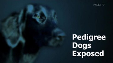 File:Pedigree Dogs Exposed.jpg