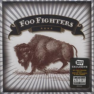 Foo Fighters 1999 There Is Nothing Left To Lose Rar