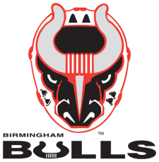 File:BirminghamBulls.png