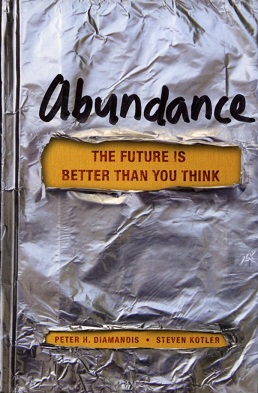 Abundance (Book Cover).jpg