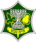 Israel Boy and Girl Scouts Federation.png