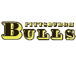 PittsburghBulls.png