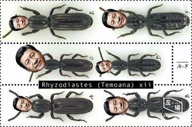 File:Daddy Xi Beetle satirical image.jpg