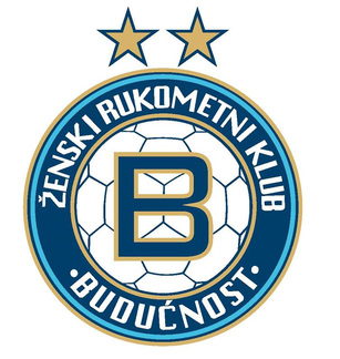 File:ZRK Buducnost logo.png