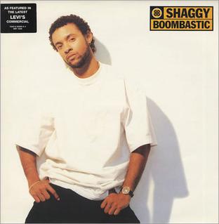 File:Boombastic Shaggy.jpg