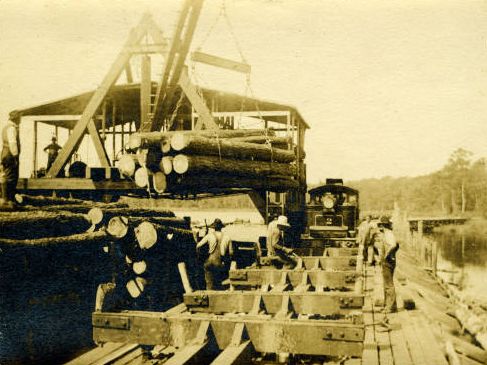 File:Logging in Buffalo City, North Carolina.jpg