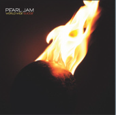 File:Pearl Jam - World Wide Suicide single cover.png