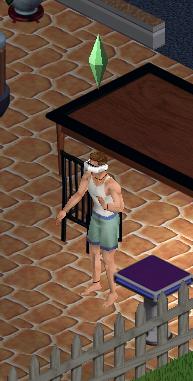  A screenshot from The Sims: Deluxe Edition. The Sims is an example of a simulation game.  The sim in this picture is playing with a virtual reality set.