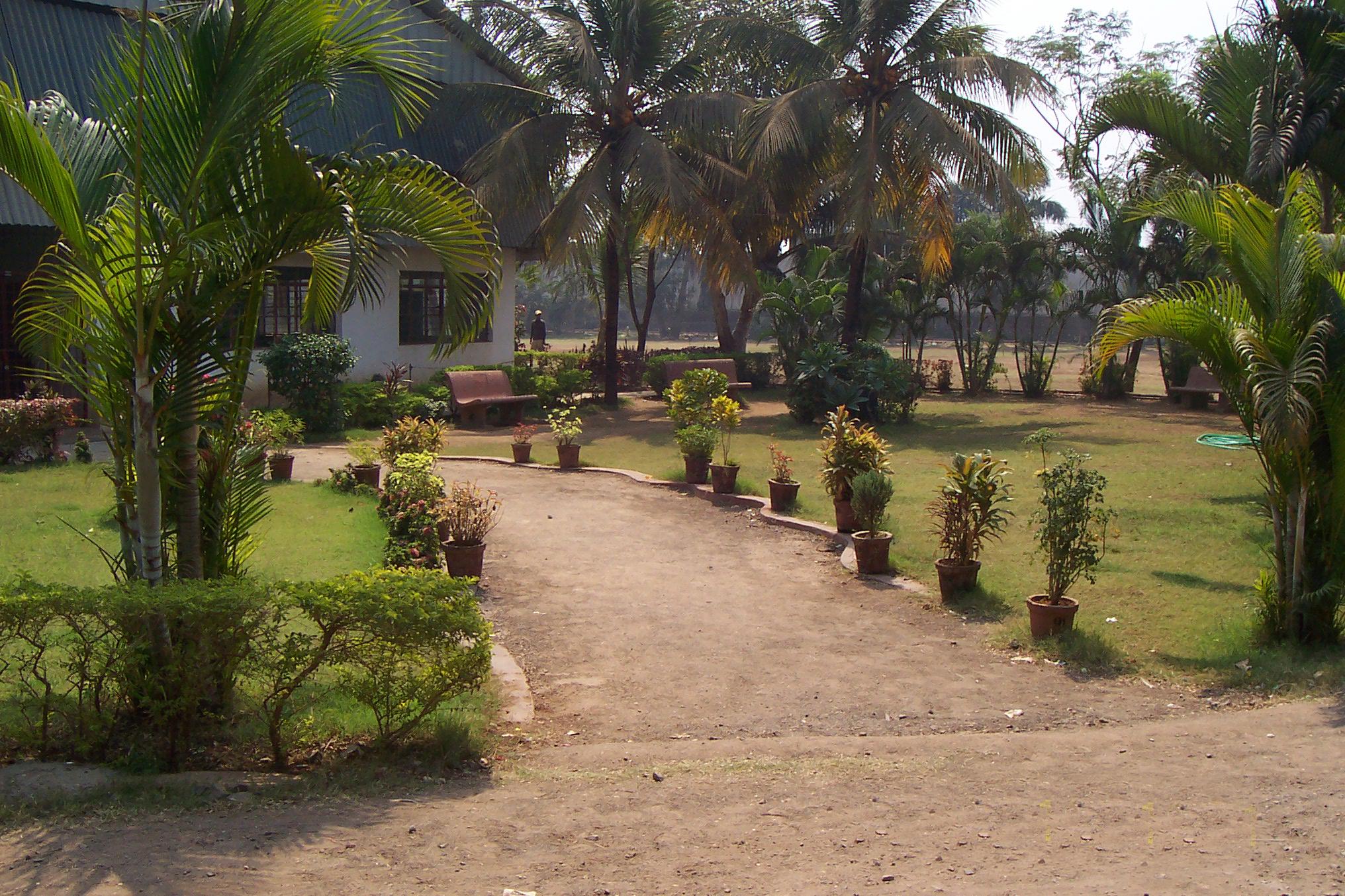 Garden Area