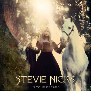 File:Stevie Nicks - In Your Dreams.png