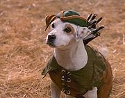 File:Soccer as Wishbone Robin Hood.jpg