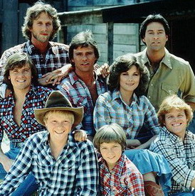 Seven Brides for Seven Brothers (TV series).jpg