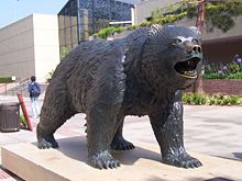 The statue of the UCLA Bruin, on Bruin Walk. The statue was designed by Billy Fitzgerald.[106]