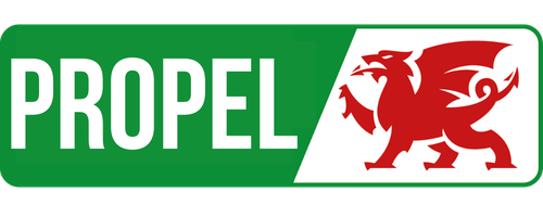 File:Welsh National Party logo.png