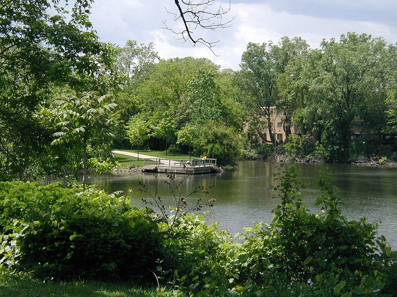 File:Convergence of the Grand and Red Cedar Rivers (Lansing, Michigan).jpg