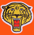 Логотип Rochester-Brooklyn Tigers