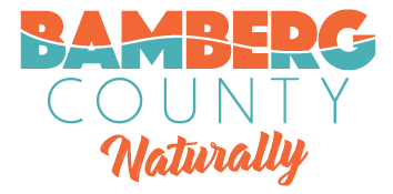 File:Bamberg County Logo.png