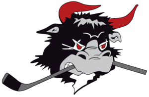 File:Rødovre Mighty Bulls logo.png