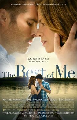 The Best of Me poster.jpg