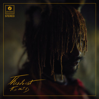 File:Cover art for It Is What It Is by Thundercat.jpg