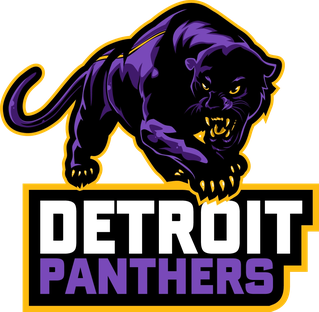 File:Detroit Panthers (PBL) Logo.png