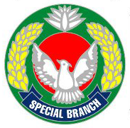 File:SpecialBranch.png