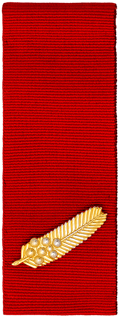 Rekomendo por Brave Conduct (Aŭstralio) medal.png