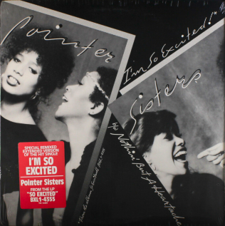 File:I'm So Excited by Pointer Sisters 1982 12-inch US vinyl.png