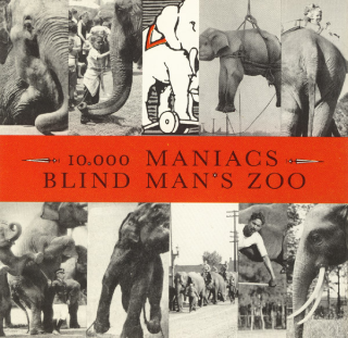 File:Blind Man's Zoo by 10,000 Maniacs.png