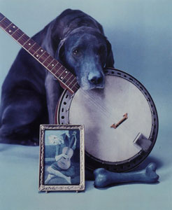File:'Blue Period with Banjo', Polaroid ER print by --William Wegman --, 1980.jpg