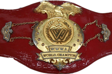 File:WWWA World Single Championship.png