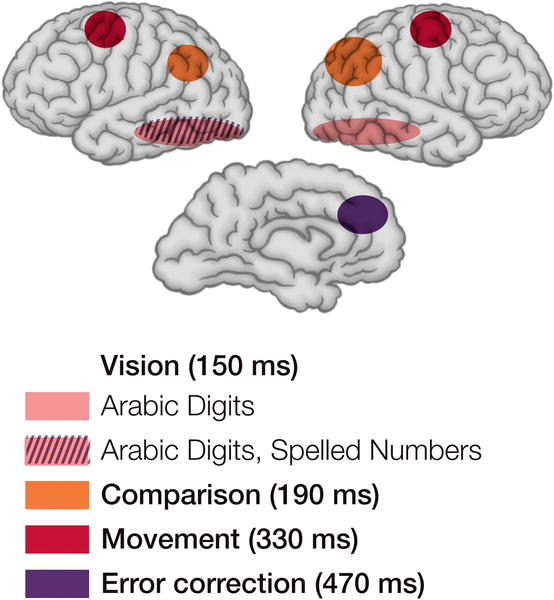 File:EEG fMRI.jpg