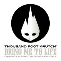 Bring Me to Life (Thousand Foot Krutch song)