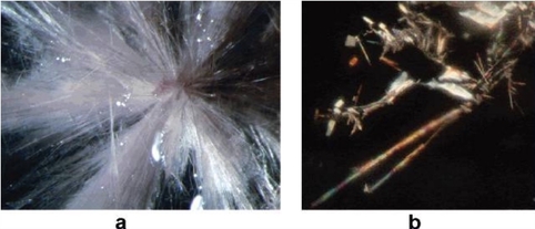 File:Two polymorphs of 3-aminobenzenesulfonic acid.jpg