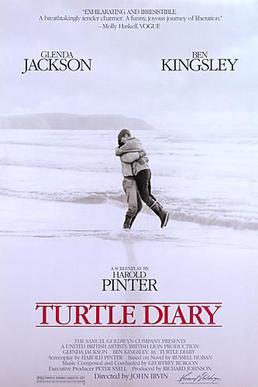 File:Turtle diary post.jpg