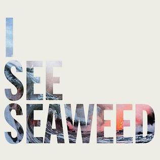 The_Drones_-_I_See_Seaweed.jpg