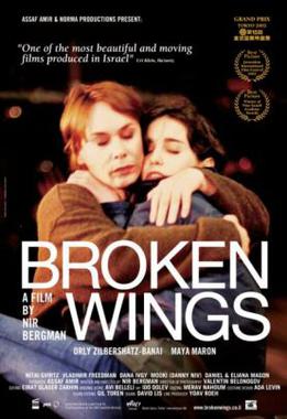 Broken Wings (film)